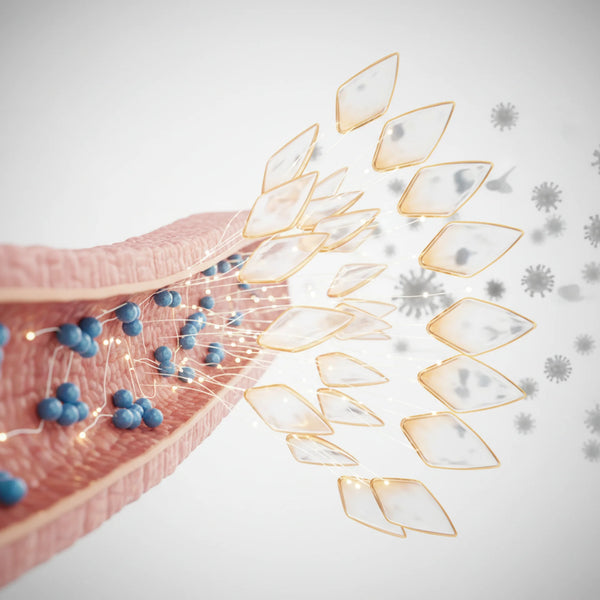 Strengthens Immunity